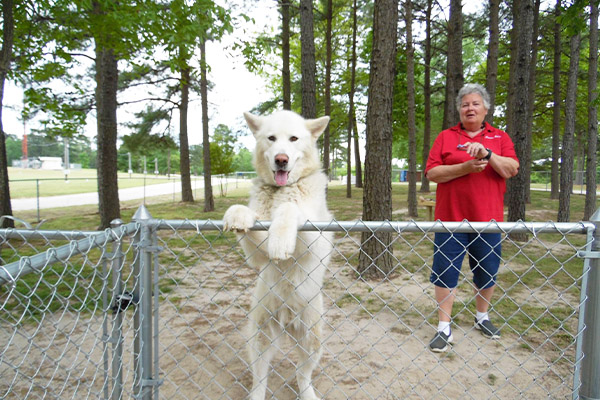 Dog Park Icon